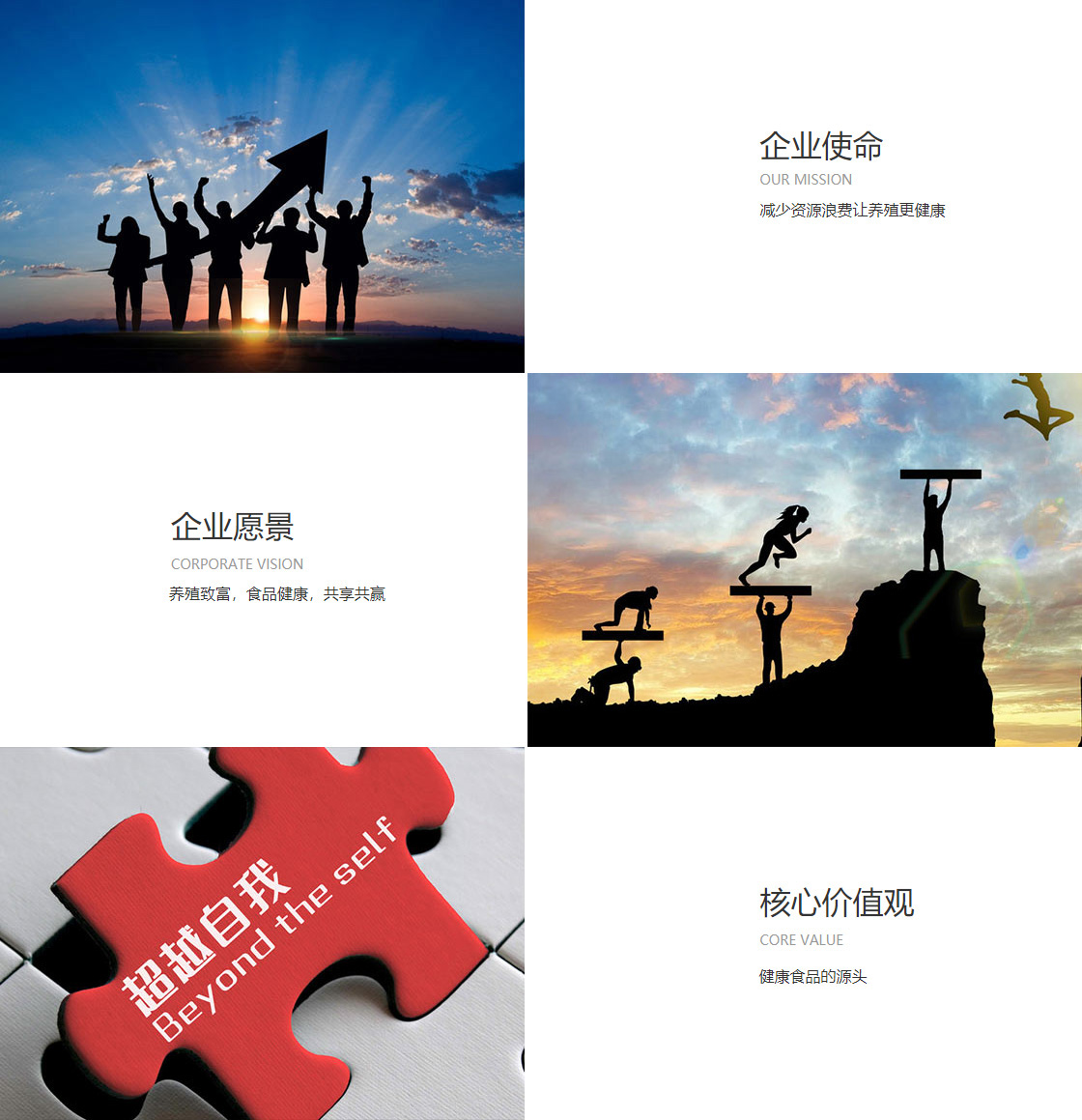 开云官方端网站登录入口(图1)